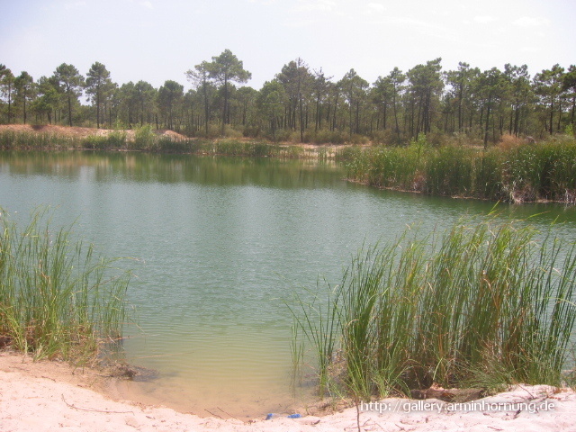 Ein See in der Dünenlandschaft