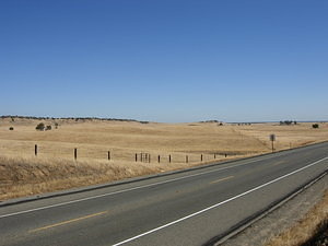 Dry Grasslands