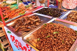 Roasted insects