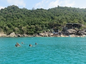 Diving at Koh Tao