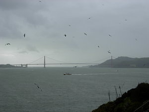 View on the Golden Gate Bridge