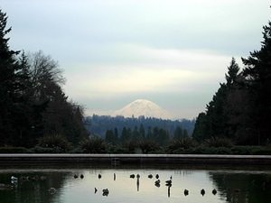 Mount Rainier vom Campus aus, an einem klaren Wintertag