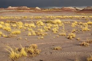 The painted desert
