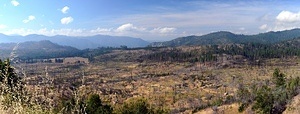 Burned plain panorama