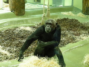 dscn3536.jpg