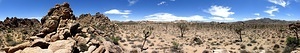 Joshua Tree National Park