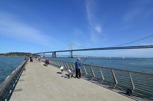 Fishing at the Bay Bridge